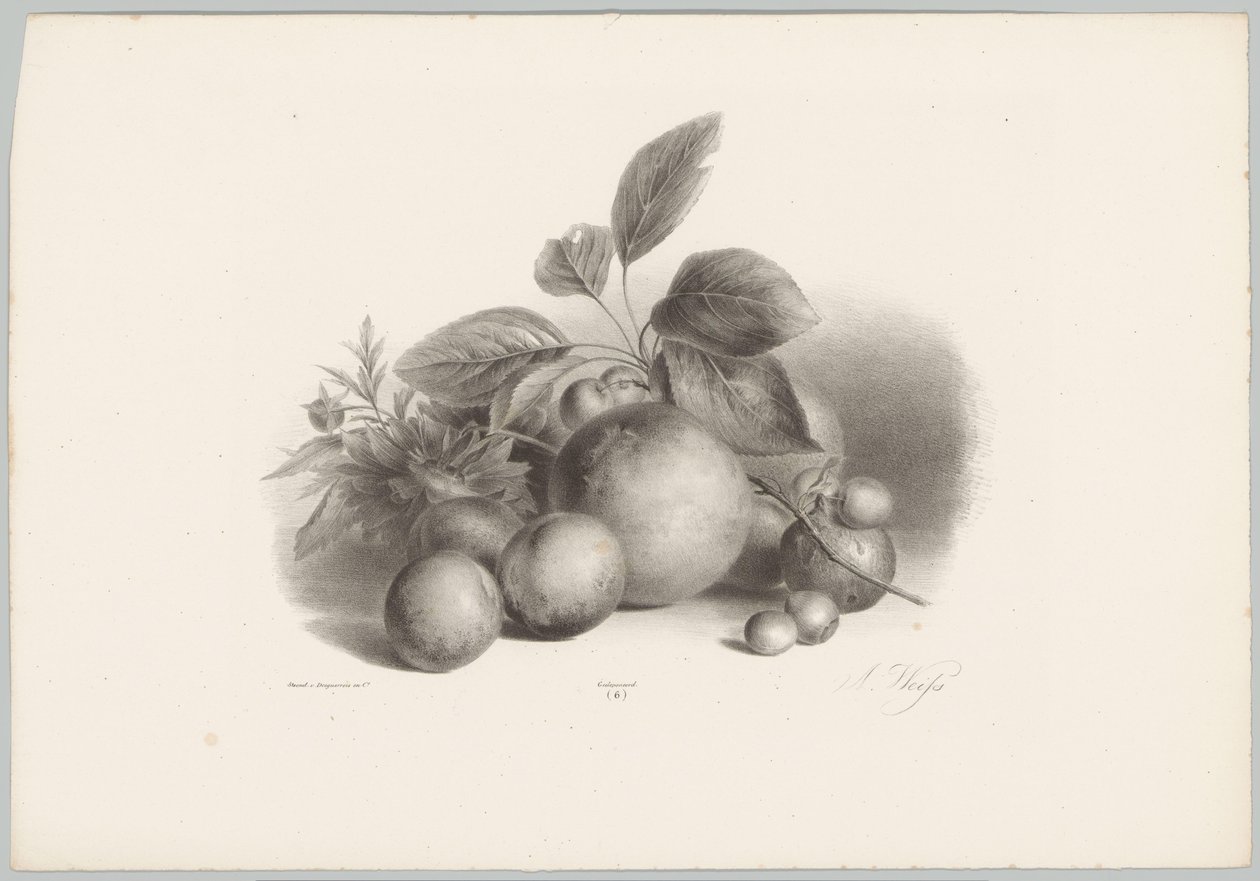 Blumen, Nektarinen und Haselnüsse von Anton Weiss