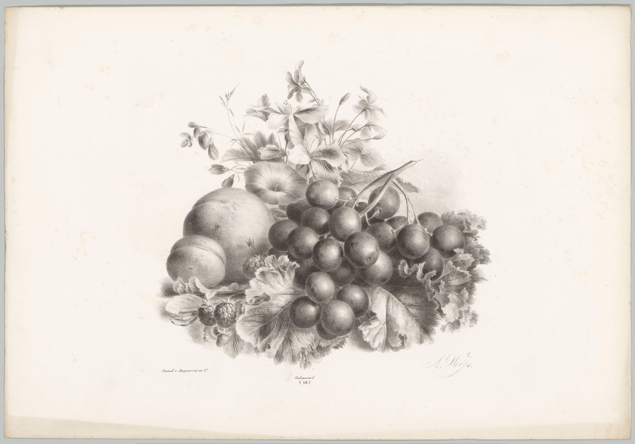 Blumen, Pfirsich, Nektarine, Trauben und Brombeeren von Anton Weiss