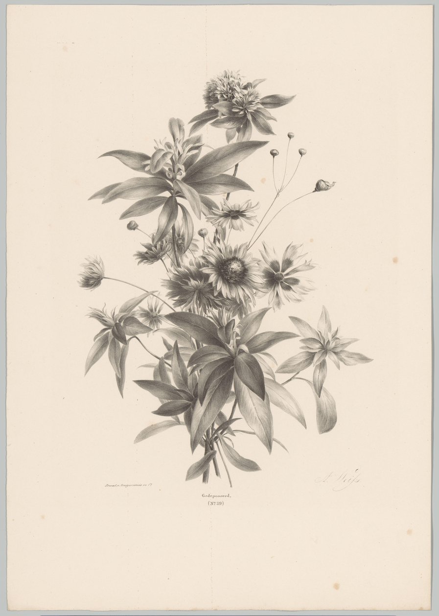 Diverse Blumen von Anton Weiss