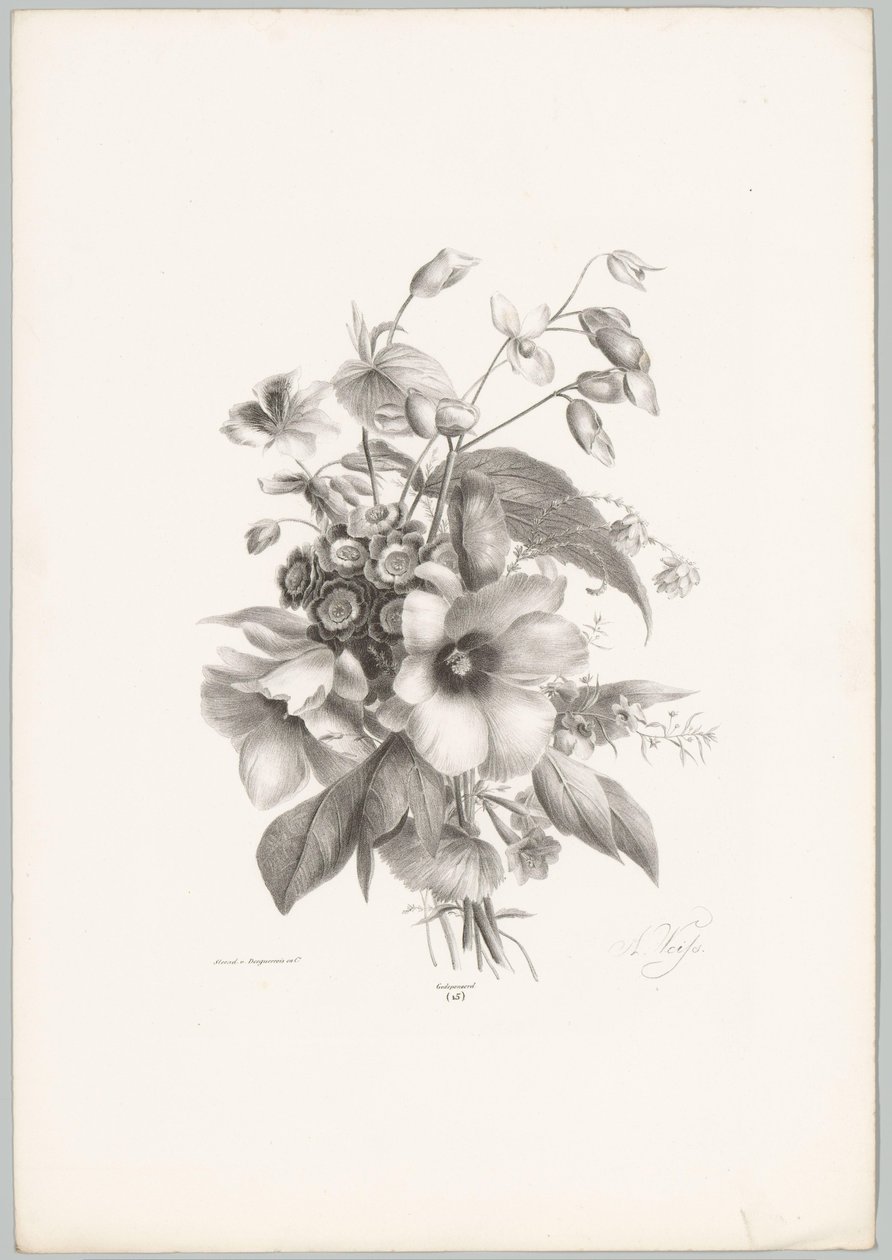 Diverse Blumen von Anton Weiss