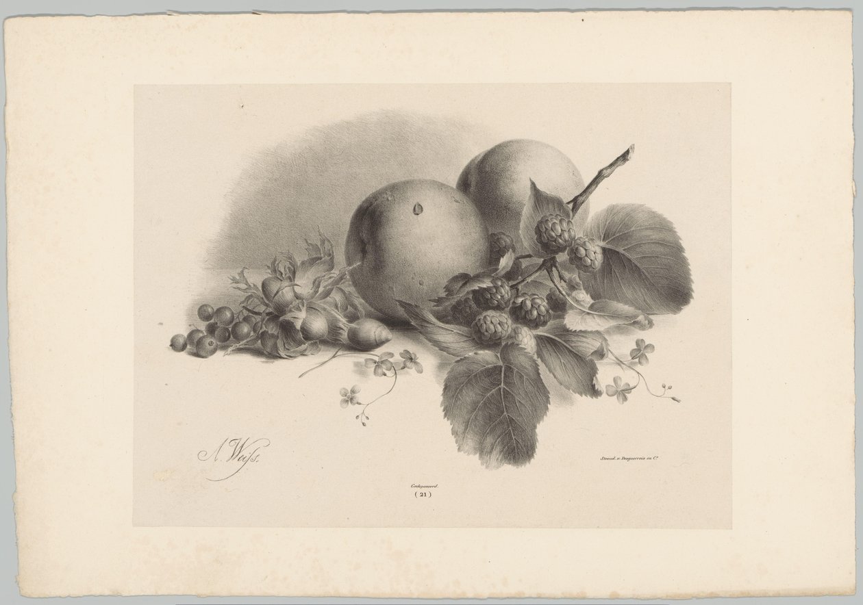 Pfirsiche, Beeren, Haselnüsse und Brombeeren von Anton Weiss
