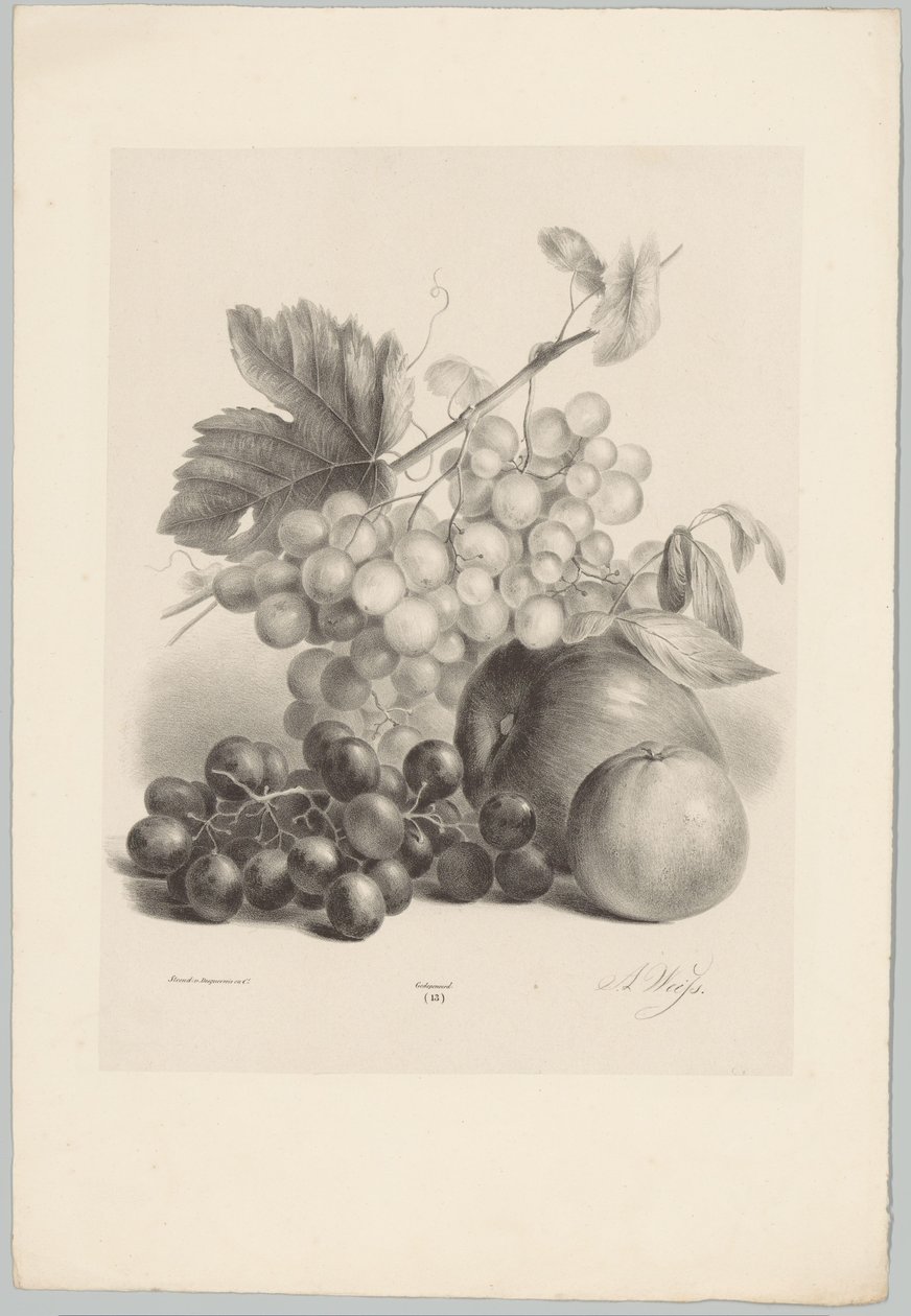 Rote und weiße Trauben und Äpfel von Anton Weiss