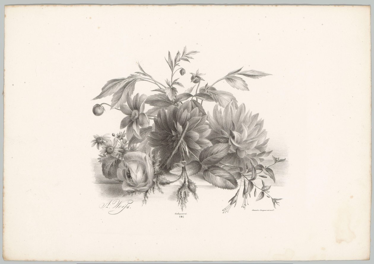Rosen, Dahlien und Fuchsien von Anton Weiss