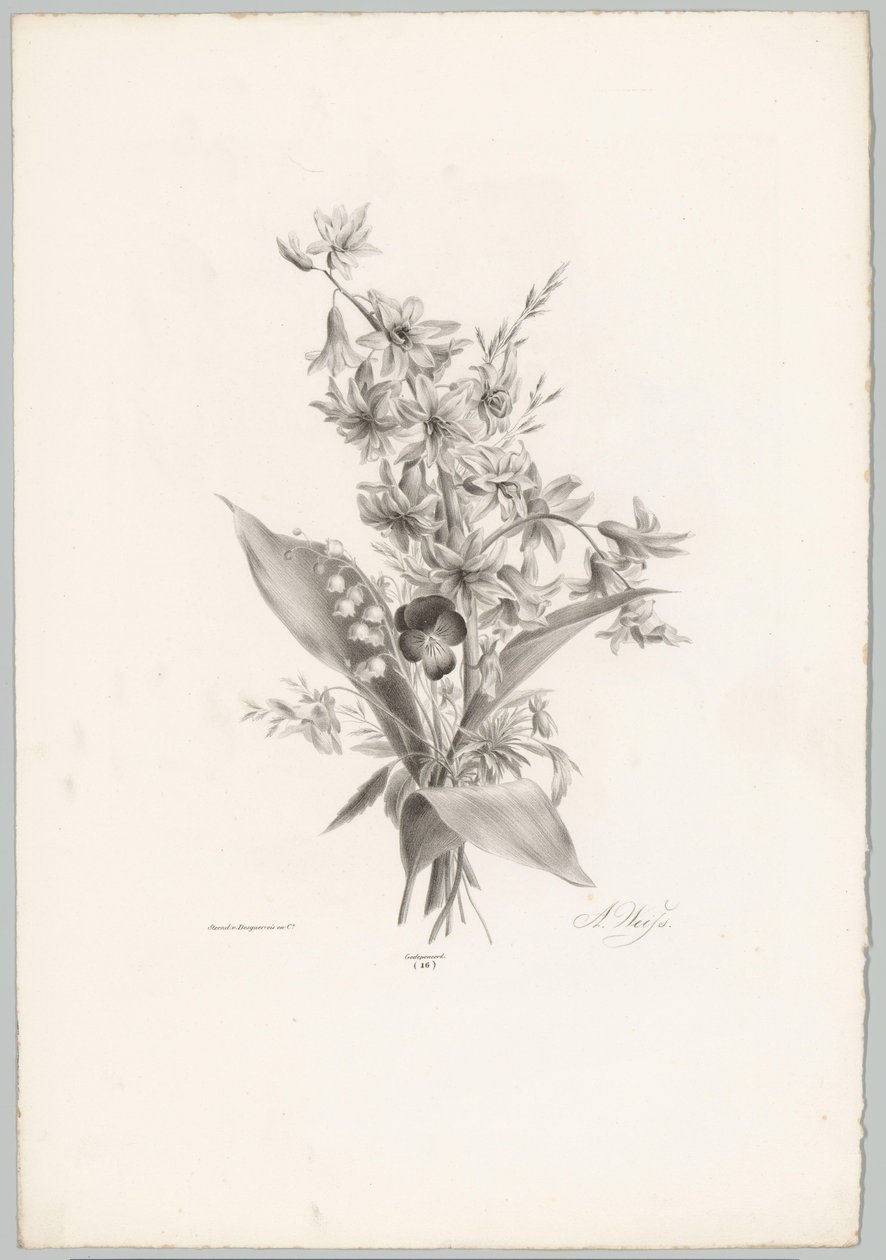 Veilchen und Hyazinthen- und Glockenblumen von Anton Weiss