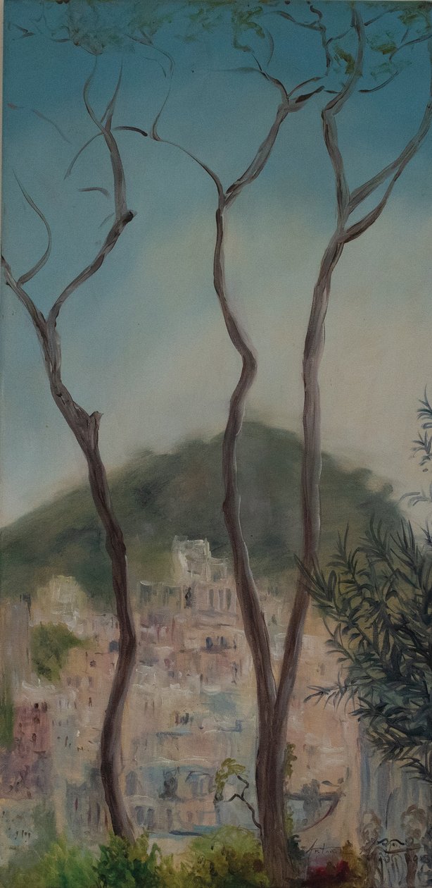 Italienische Bäume, Amalfiküste, 2018 von Antonia Myatt