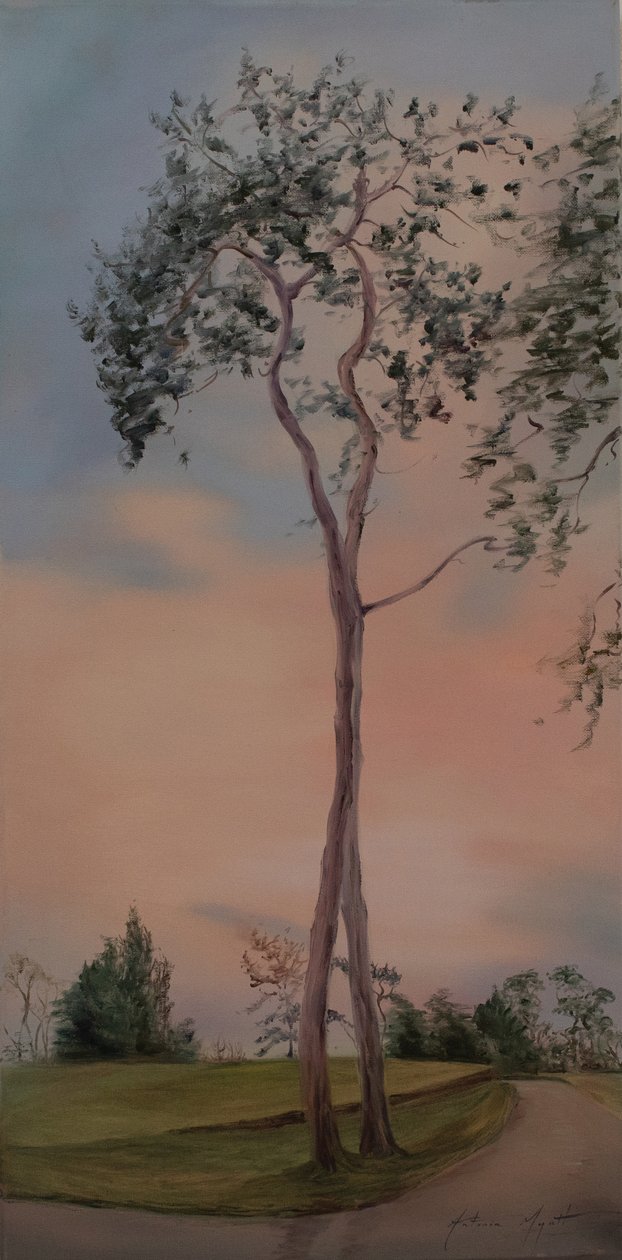Tapeley Park Bäume, 2013 von Antonia Myatt