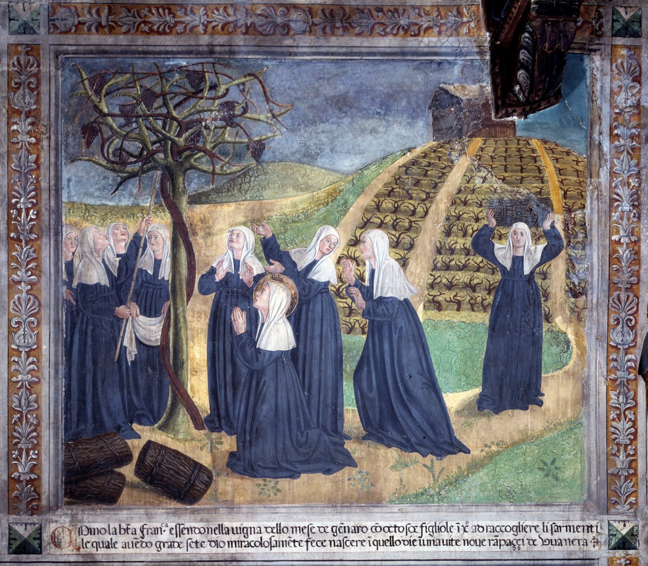 Leben der heiligen Francesca Romana: Die Heilige pflegt den Weinberg mit den Schwestern und lässt im Januar Trauben erscheinen (Fresko) von Antoniazzo Romano
