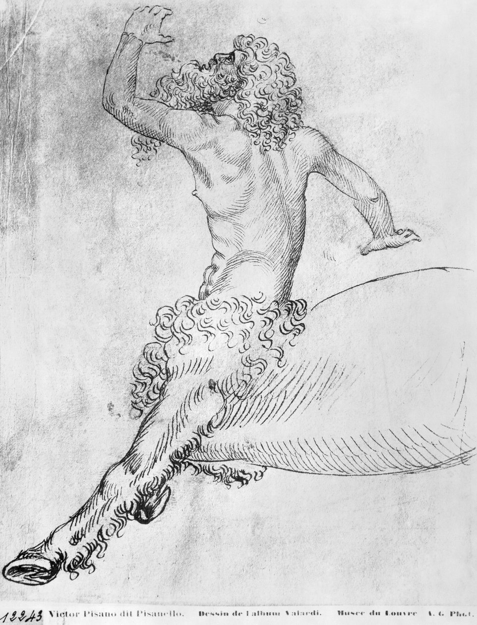 Zentaur, aus dem Vallardi-Album von Antonio Pisanello