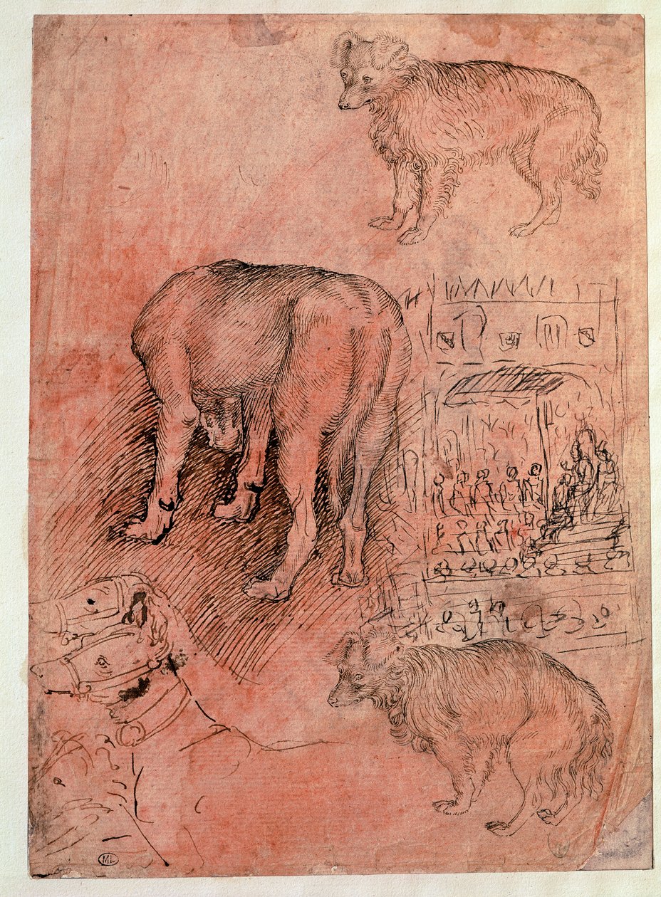 Hundestudien. Aulische Episode. Zeichnung von Antonio Pisano, genannt il Pisanello von Antonio Pisanello