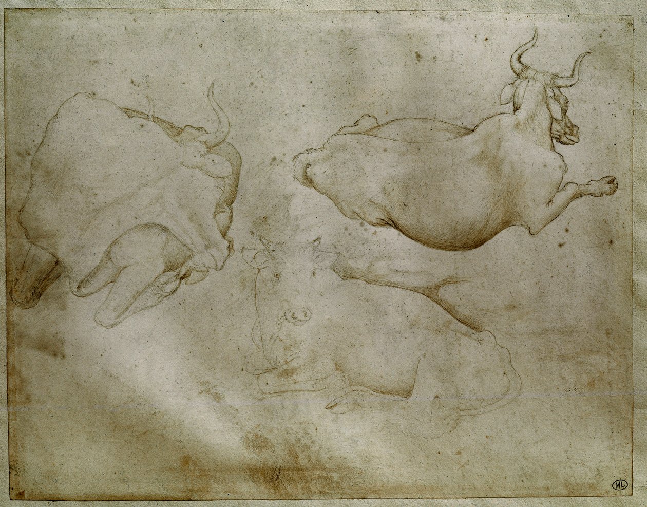 Zwei Kühe und ein Wacholder von Antonio Pisanello