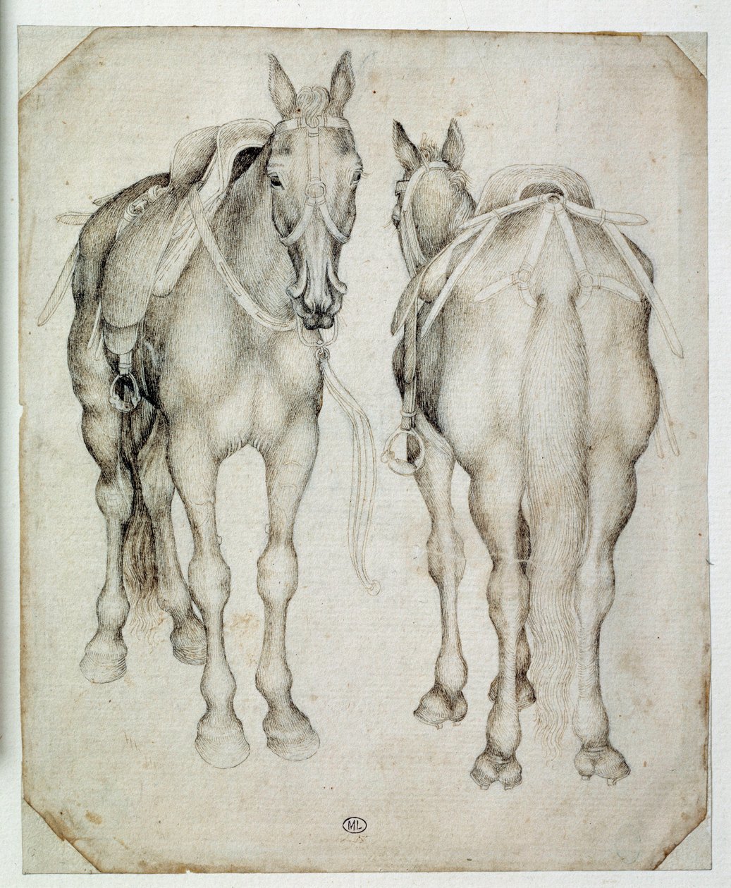 Zwei Harnische, drei Viertel gesehen, einer von vorne und der andere von hinten von Antonio Pisanello