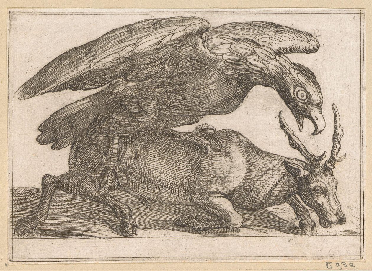Ein großer Vogel greift ein Reh an Kämpfende Tiere (Serientitel) von Antonio Tempesta
