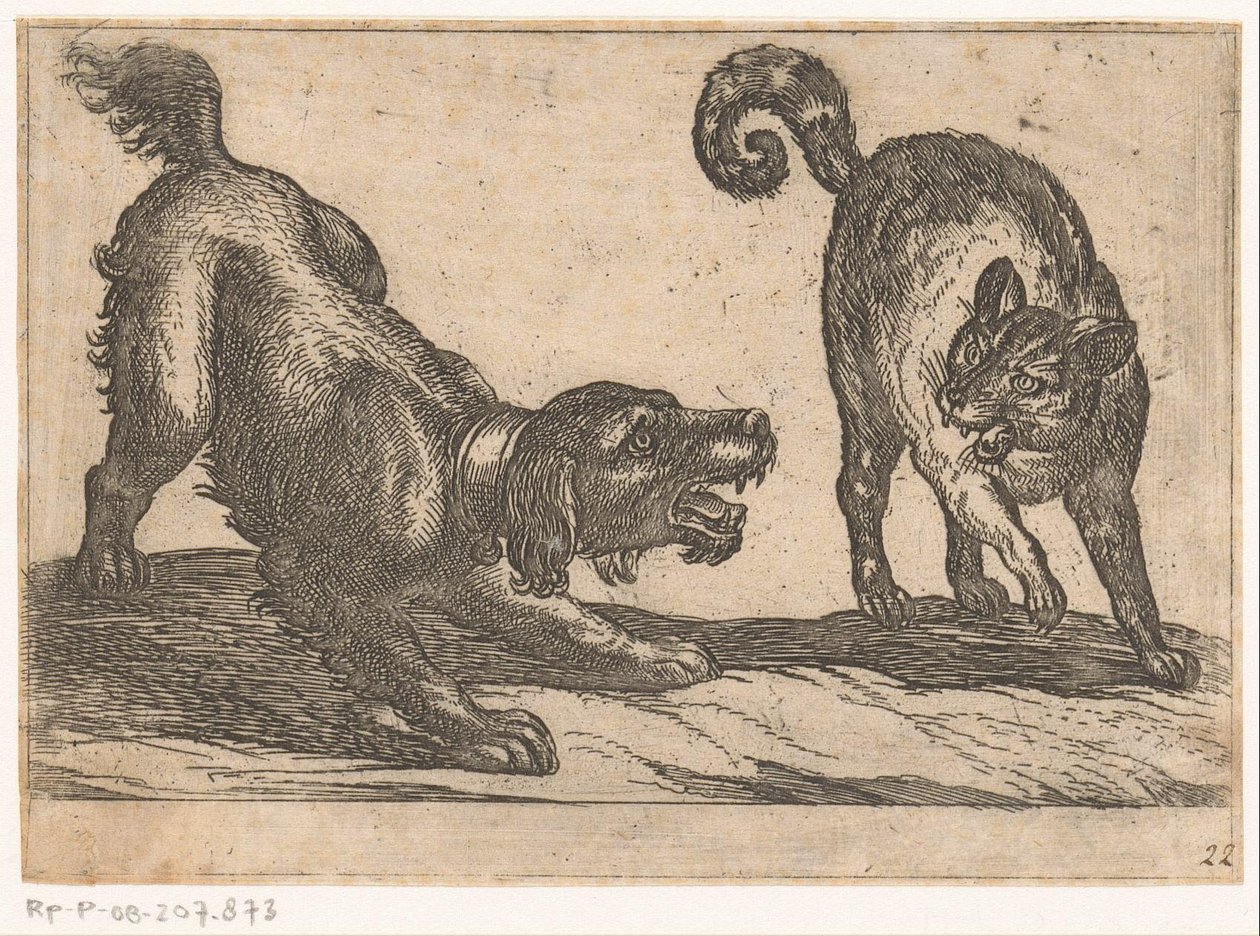 Ein Hund kämpft mit einer Katze von Antonio Tempesta