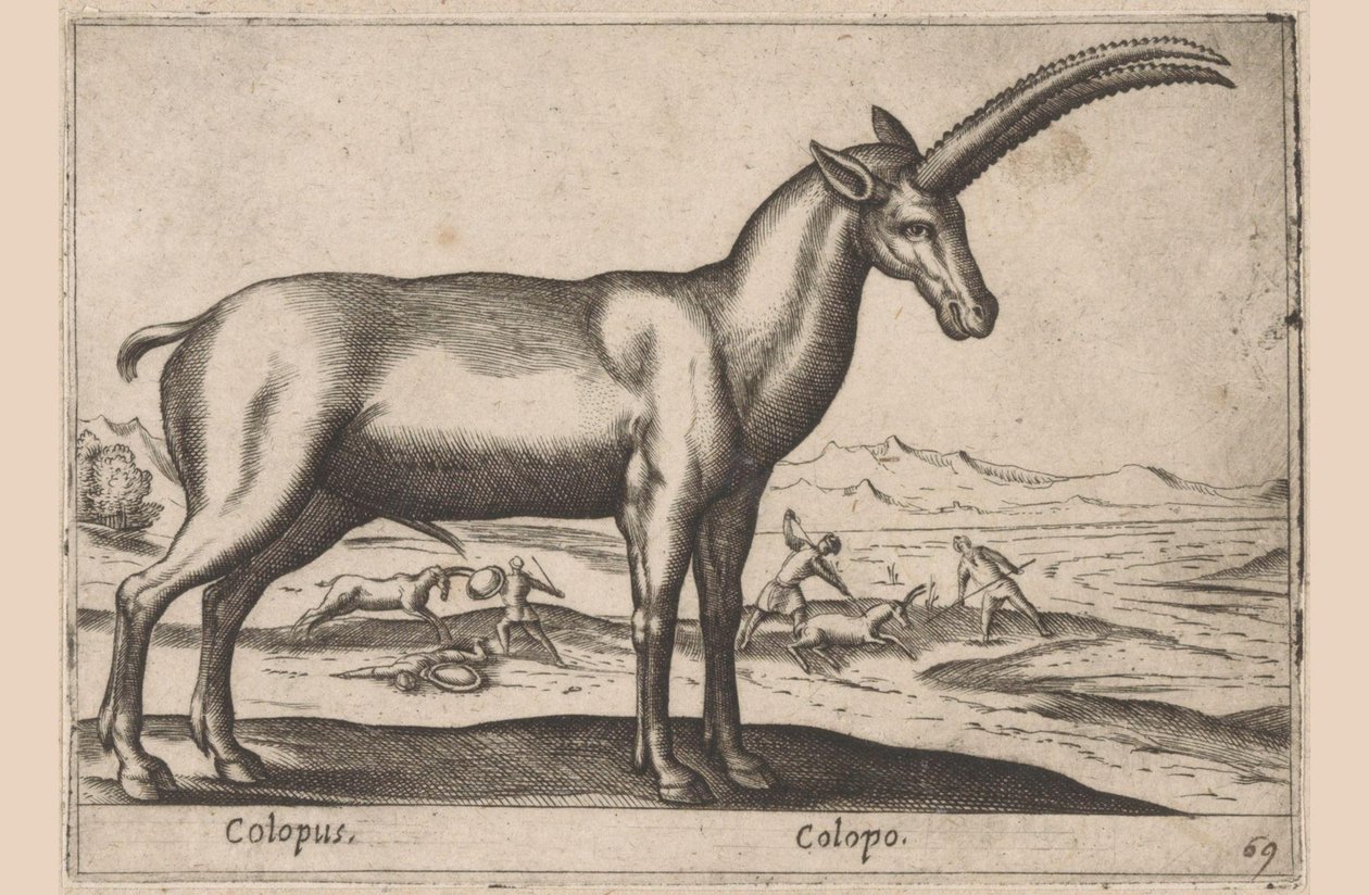 Ziegenartiges (Serie: Tiere und Fabelwesen, Nova raccolta de li animali piu curiosi del mondo) von Antonio Tempesta