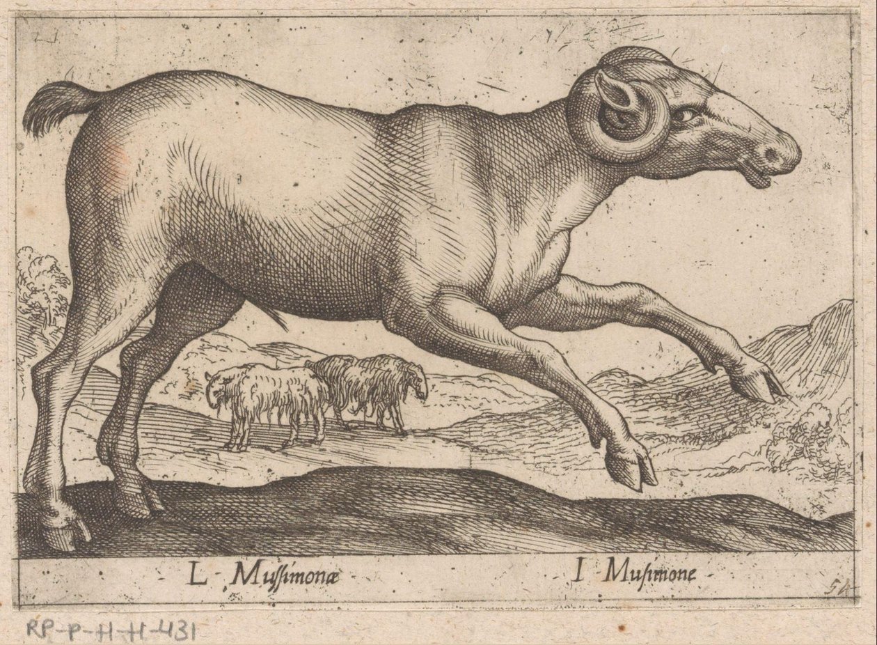 Geitachtige Dieren und Fabelwezens von Antonio Tempesta