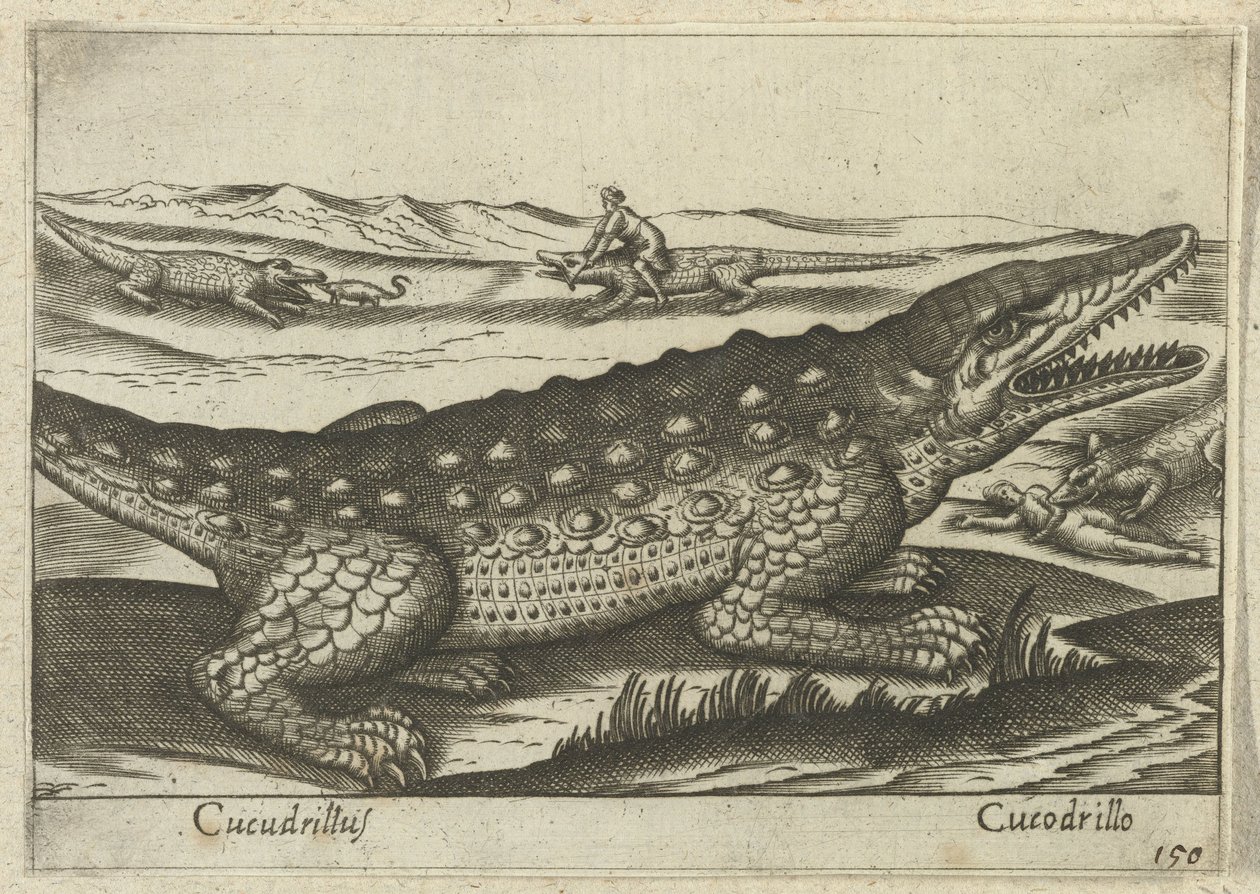 Krokodil (Tiere und Fabelwesen) von Antonio Tempesta