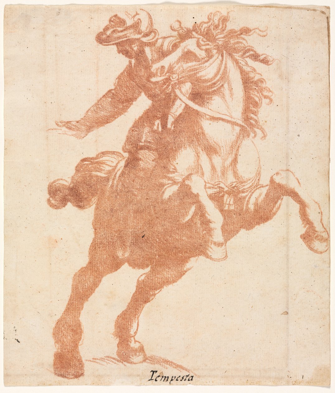 Steigendes Pferd und Reiter von Antonio Tempesta