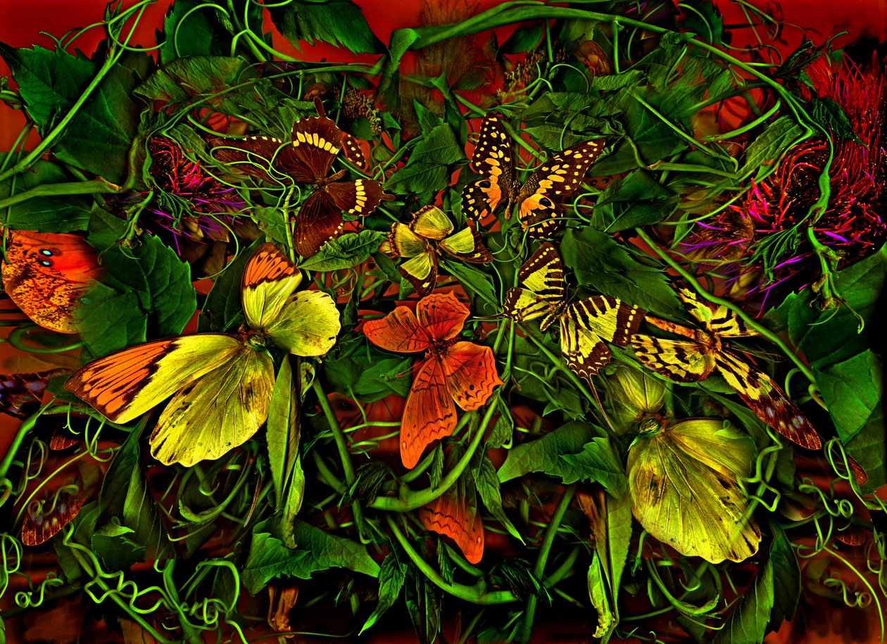 Anderswelt Nr. 102-1, 2025 von Antonius Antonius