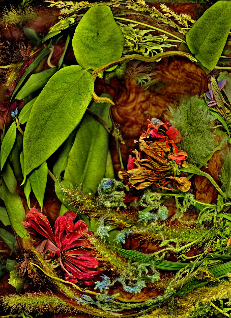 Anderswelten Nr. 113 von Antonius Antonius