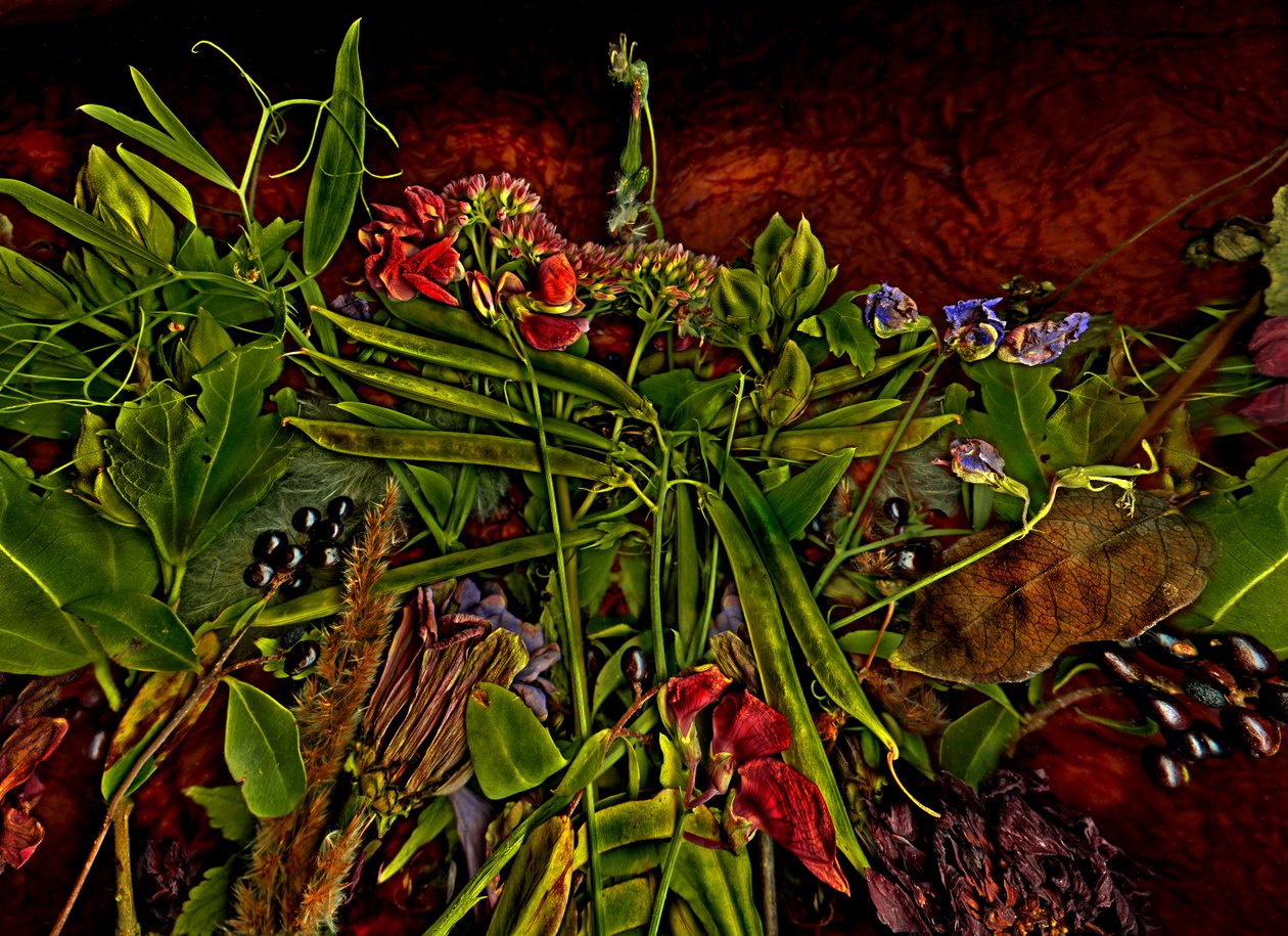 Stillleben m 3, 2014 von Antonius Antonius