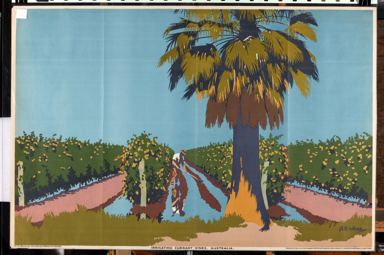 Johannisbeerreben bewässern - Australien von Archibald Bertram Webb