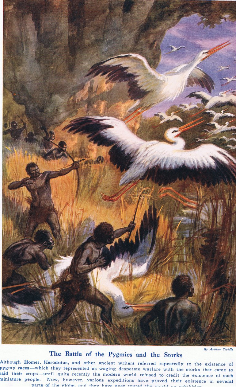 Schlacht der Pygmäen und der Störche, Illustration aus 