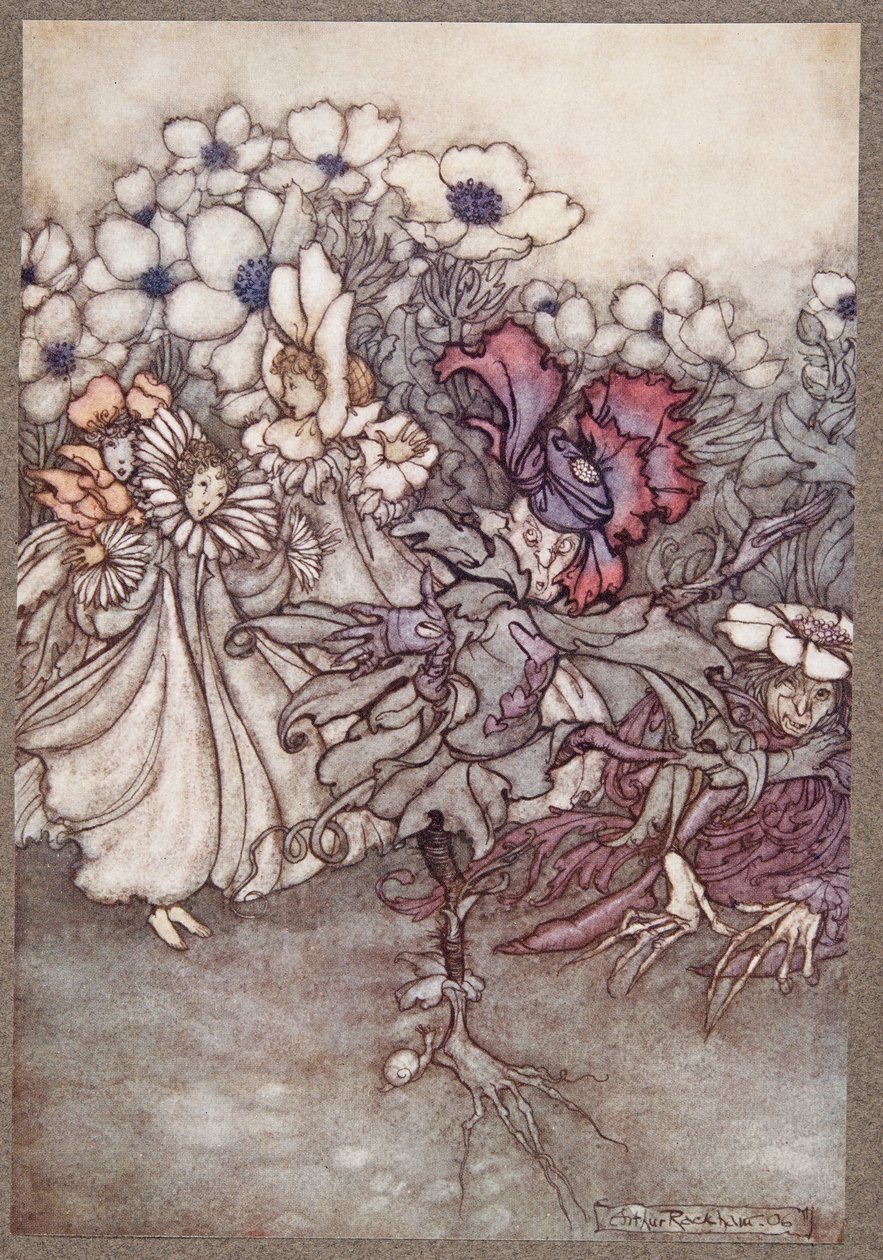 Aber wenn man hinschaut und sie befürchten, dass keine Zeit zum Verstecken bleibt, stehen sie ganz still und tun so, als wären sie Blumen, aus Peter Pan in Kensington Gardens von J M Barrie, veröffentlicht 1906 von Arthur Rackham