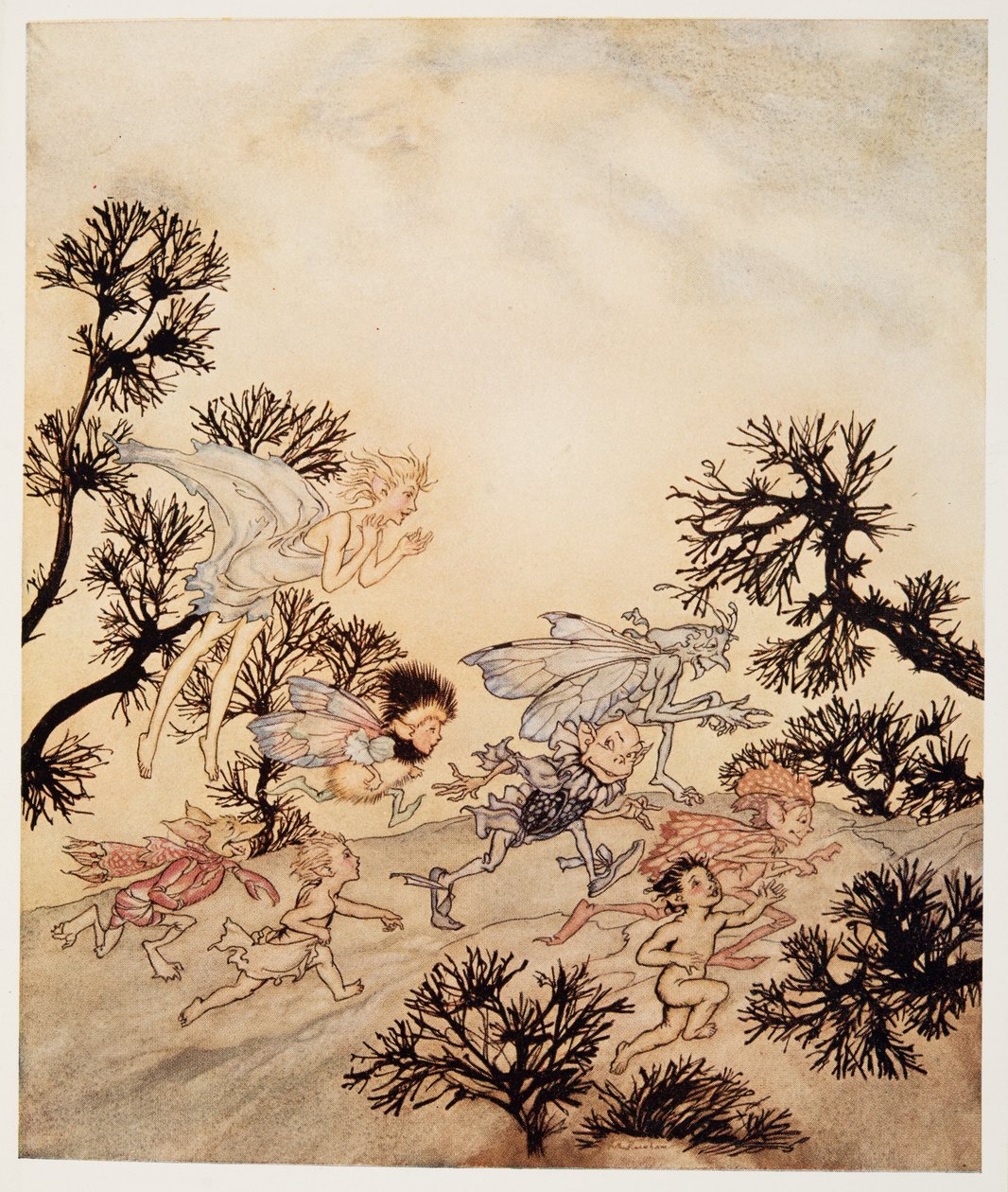 Geht, beauftragt meine Kobolde, dass sie ihre Gelenke mit trockenen Krämpfen mahlen, Illustration aus William Shakespeares Der Sturm, veröffentlicht 1926 von Arthur Rackham
