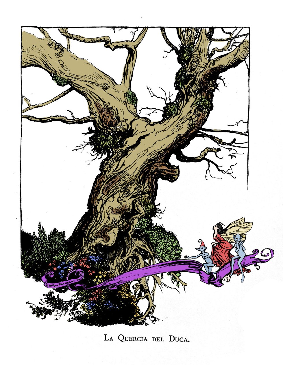 Illustration für Ein Sommernachtstraum von William Shakespeare von Arthur Rackham