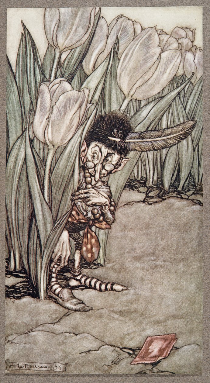 Als er Peters Stimme hörte, versteckte er sich erschrocken hinter einer Tulpe, aus Peter Pan in Kensington Gardens von J M Barrie, veröffentlicht 1906 von Arthur Rackham