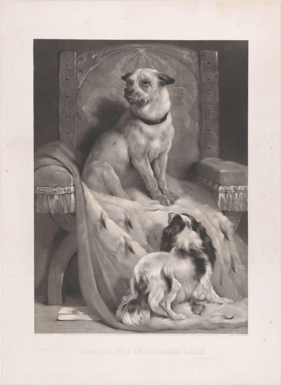 Hund auf einem Hermelinmantel auf einem Thron von Arthur Turrell