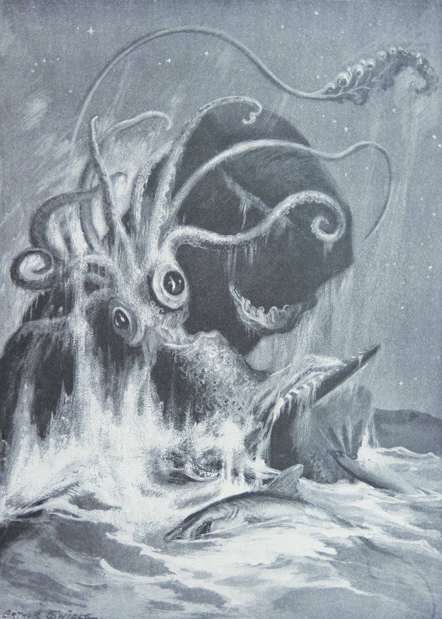Der Kraken gegen Pottwale von Arthur Twidle