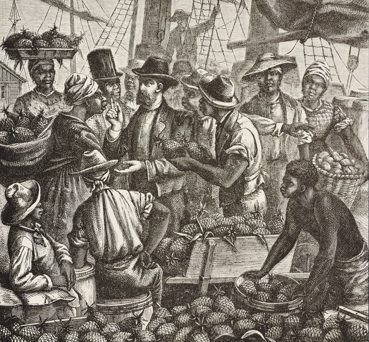 Geschichte Englands (19. Jahrhundert). Kolonisierung (1880). Bahama verkauft Ananas. Englische Kolonie auf New Providence Island. Ananas waren eines der Exportprodukte aus dem Hafen von Nassau, dem wichtigsten. Gravur. Private Sammlung von Artist Unknown