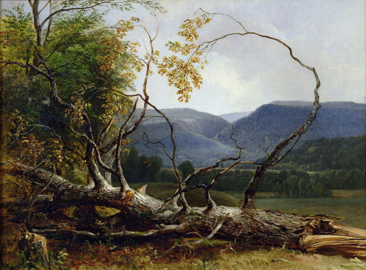Studie aus der Natur, Stratton Notch, Vermont, 1853 von Asher Brown Durand