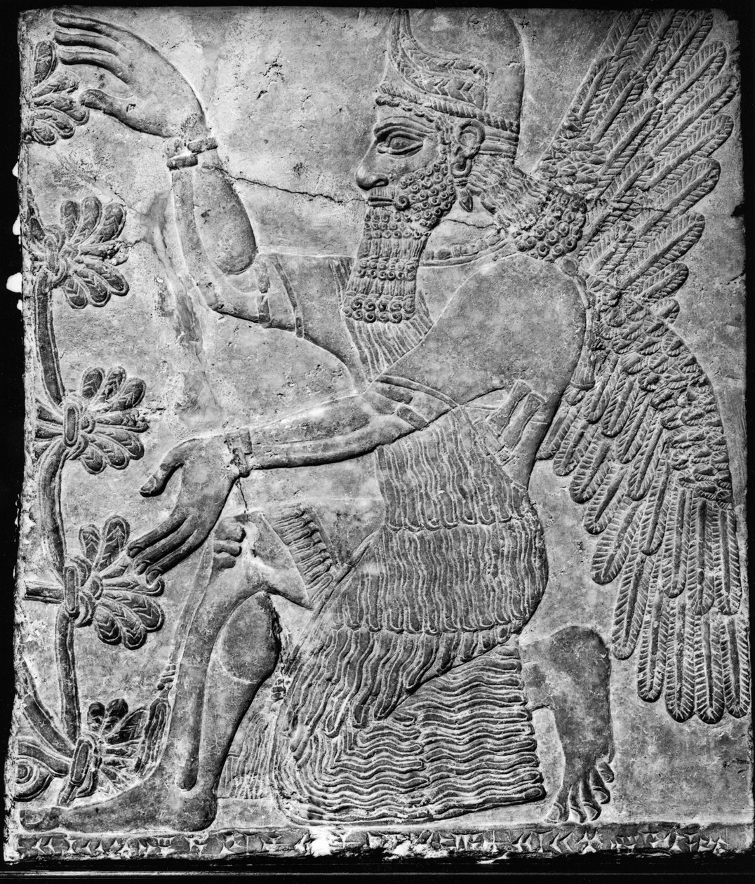 Geflügelter Genie, der den heiligen Baum verehrt, aus dem Palast in Nimrud von Assyrian