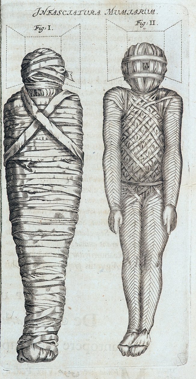 Mumien - in „Sphynx mystagoga“ von Athanase Kircher von Athanasius Kircher