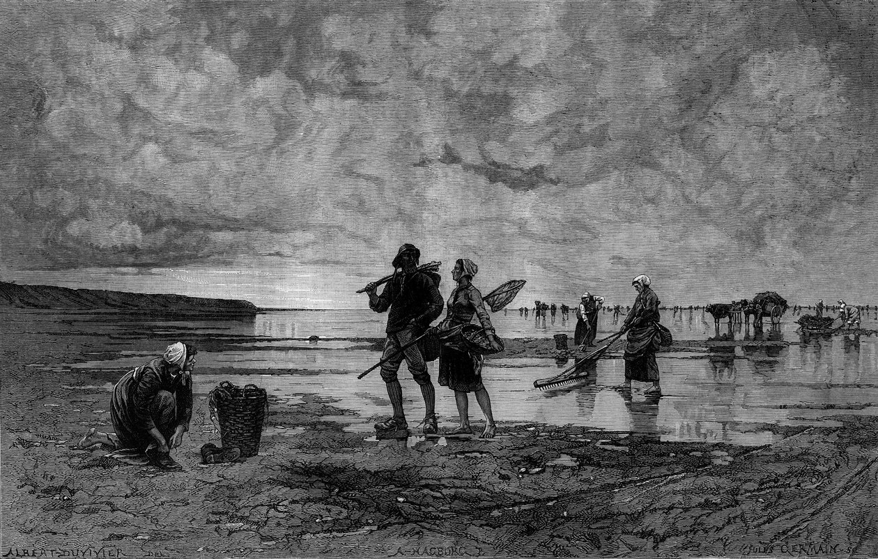 Große Flut im Ärmelkanal (19. Jahrhundert): Muschelfischer am Strand. Gravur nach dem Gemälde von Hagborg Auguste Wilhem Nikolaus in Le Monde Illustré Nr. 1219 vom 7. August von August Wilhelm Nikolaus Hagborg