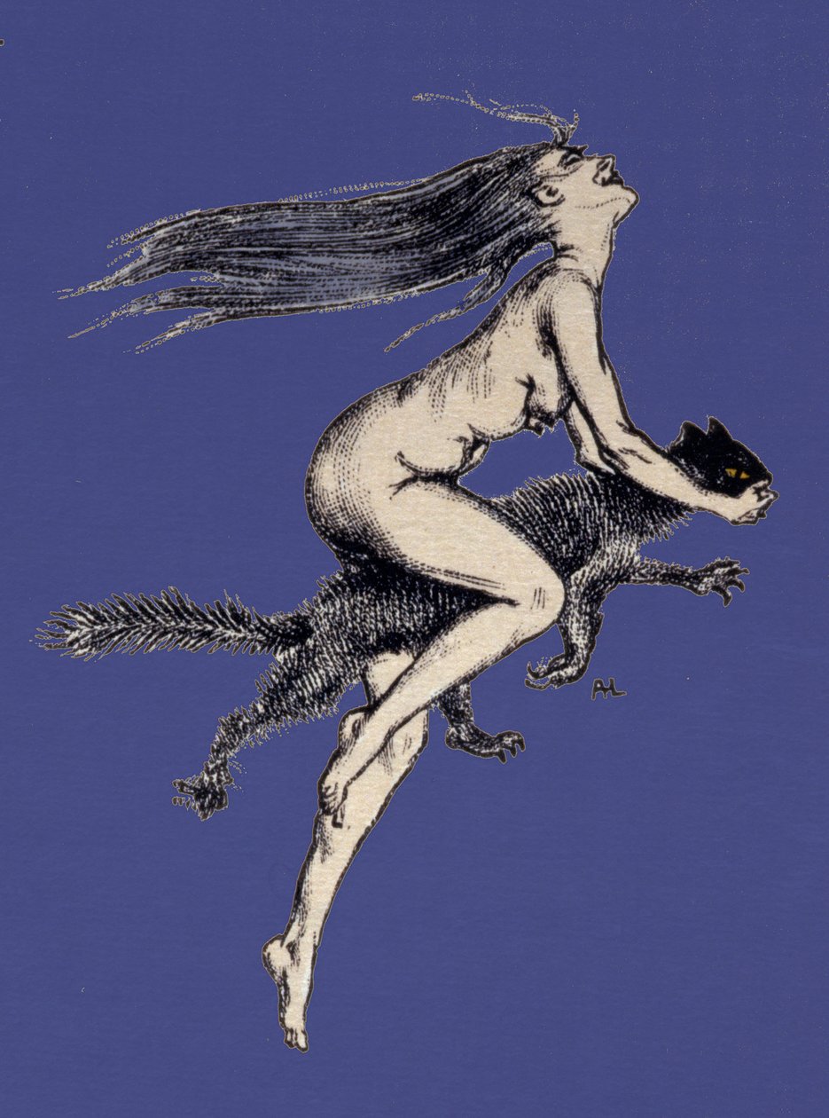 Illustration aus 
