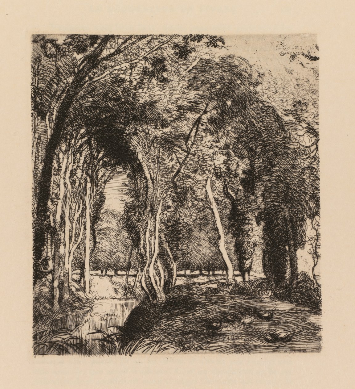 Auguste Lepère: Unterholz, bei La Rigonette (Vendée) von Auguste Louis Lepère