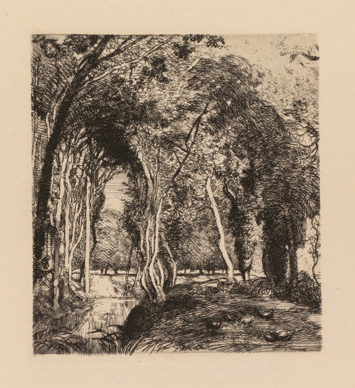 Auguste Lepère: Sous bois, à la Rigonette Vendée von Auguste Louis Lepère