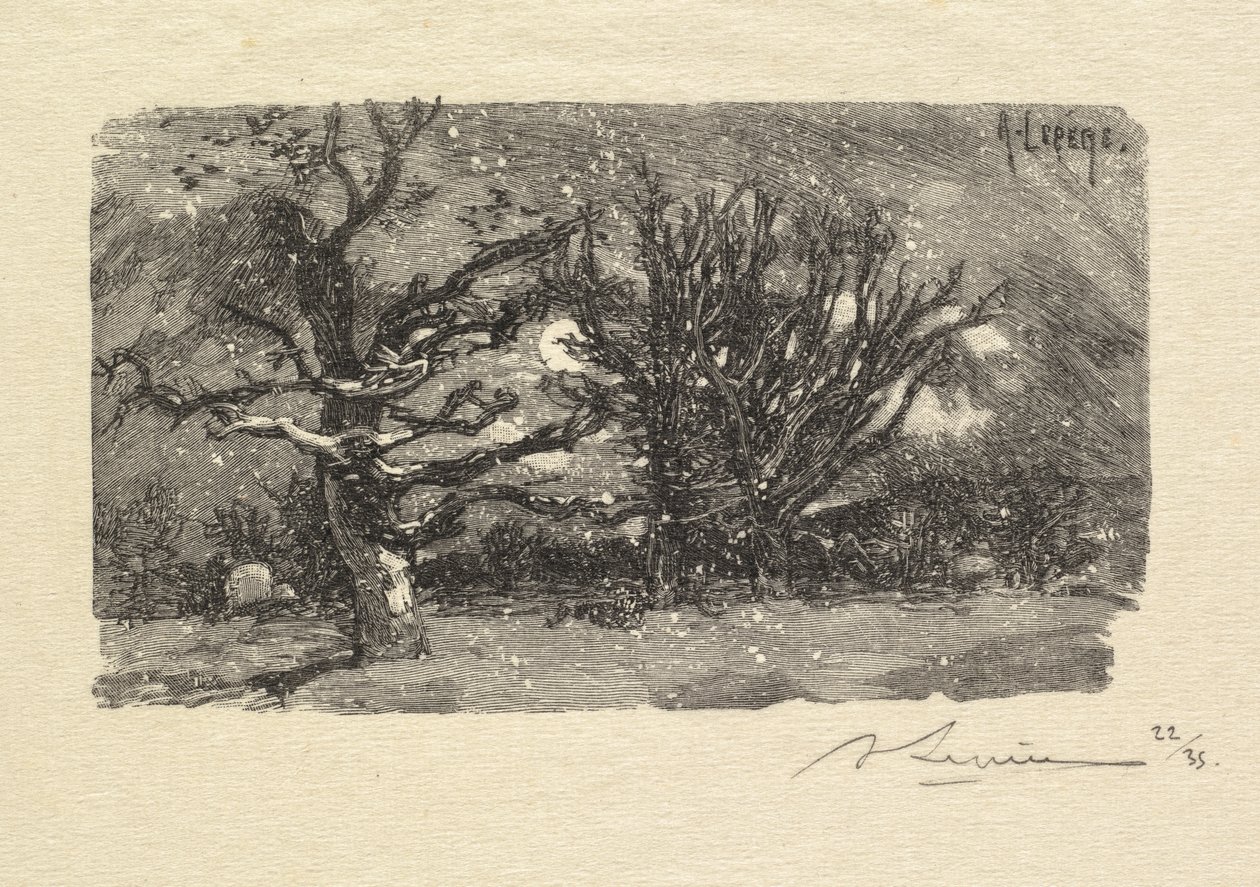 Fontainebleau-Wald: Am Schlafplatz von Lantara (La Forêt de Fontainebleau: Au dormoir de Lantara) von Auguste Louis Lepère