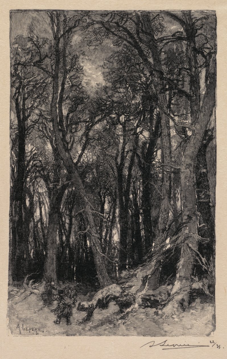Wald von Fontainebleau: Bas-Bréau, 1890 von Auguste Louis Lepère