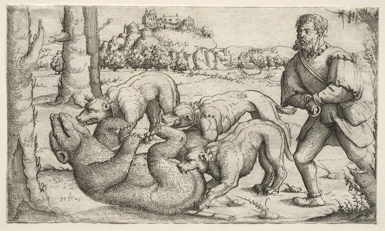 Eine Bärenjagd von Augustin Hirschvogel