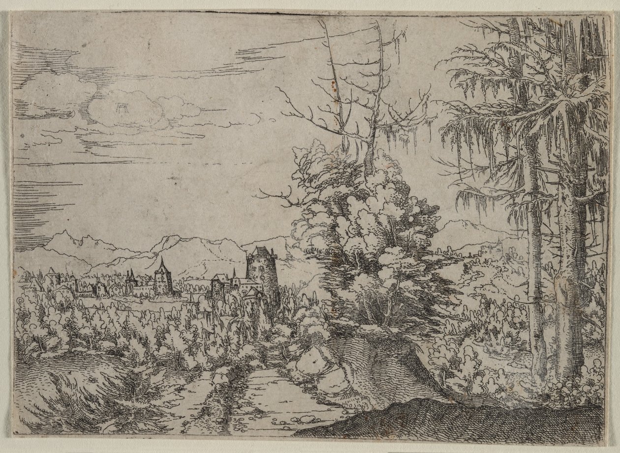 Landschaft mit zwei Kiefern von Augustin Hirschvogel