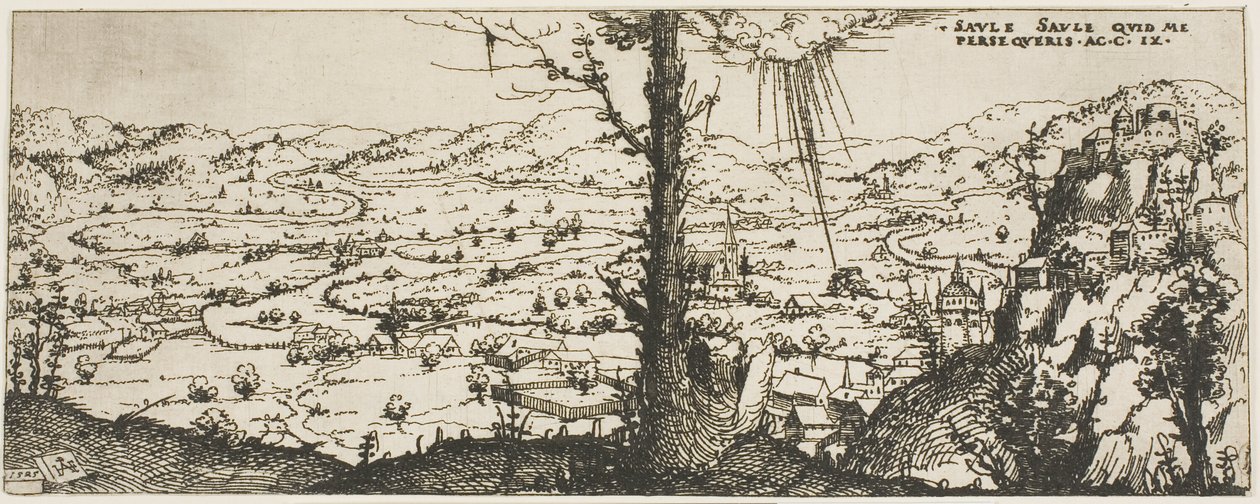 Landschaft mit einem Baum im Vordergrund von Augustin Hirschvogel