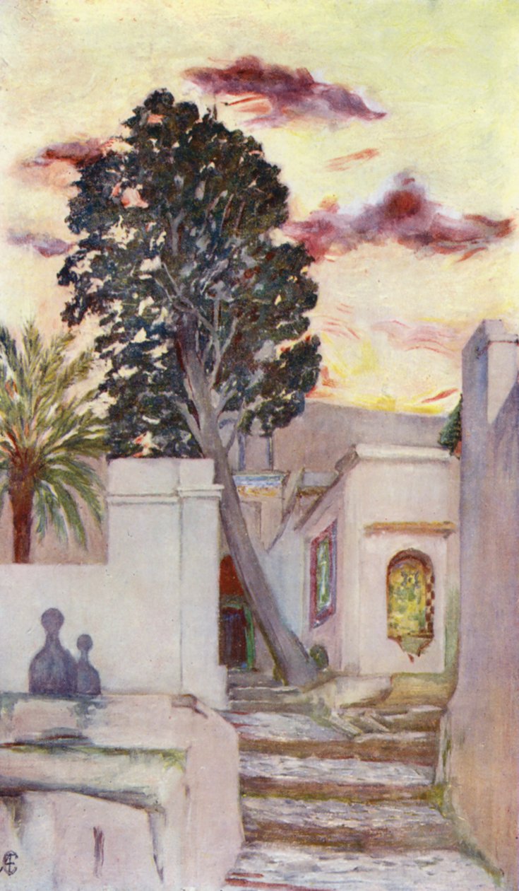 Eingang zur Moschee von Sidi, Abd-Er-Rahman von Augustine Fitzgerald