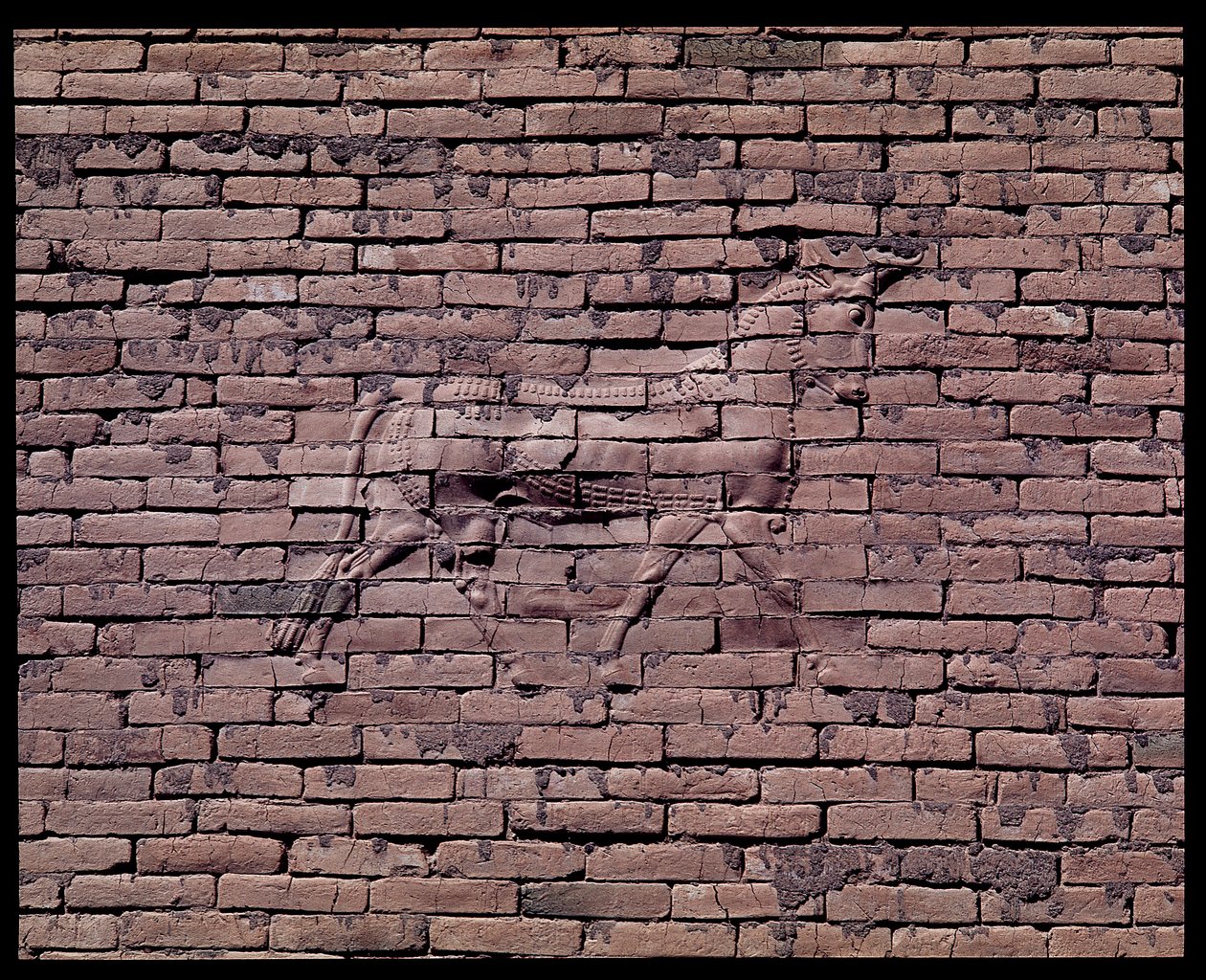 Detail eines Stiers, Relief des Ischtar-Tores, 580 v. Chr. von Babylonian