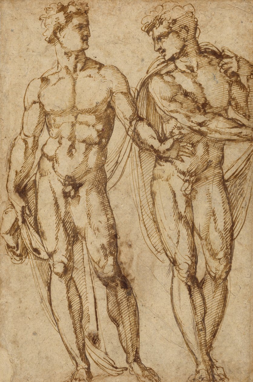 Studie von zwei Männern (recto); Studie des Kopfes eines bärtigen Mannes (verso) von Baccio Bandinelli