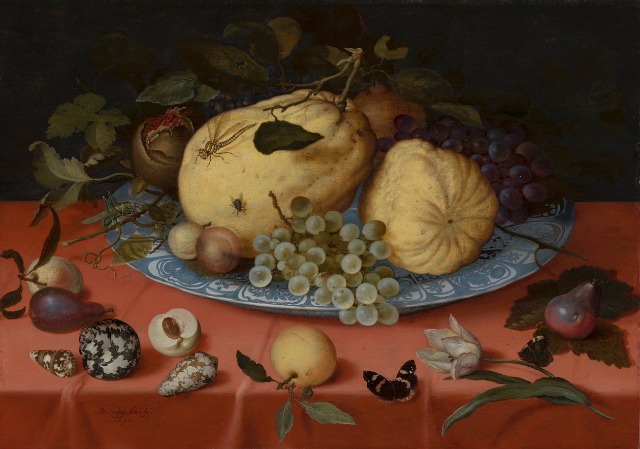Früchtestillleben mit Muscheln und Tulpe von Balthasar van der Ast