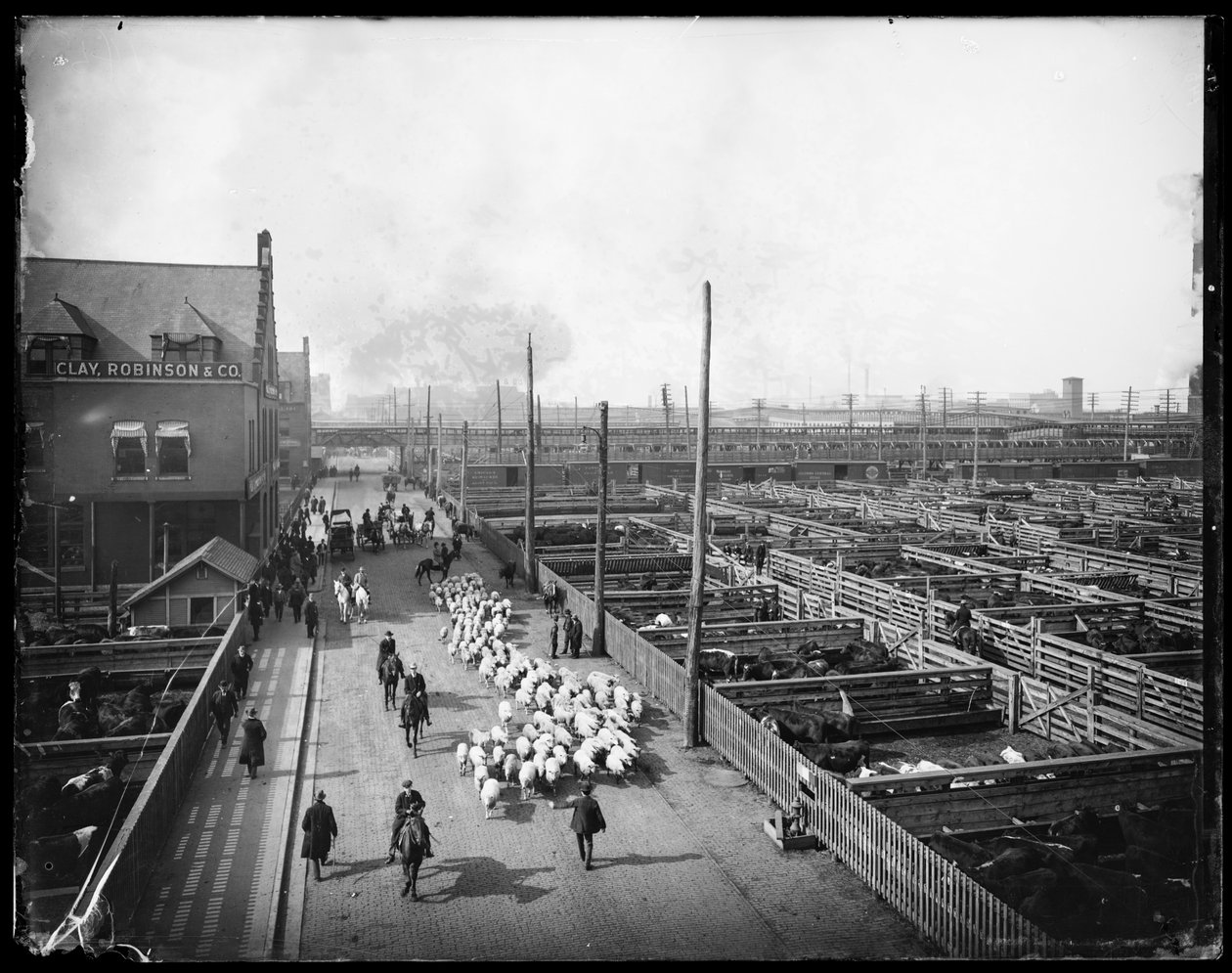 Union Stock Yards, Chicago, Illinois, USA, ca. 1910 von Barnes and Crosby
